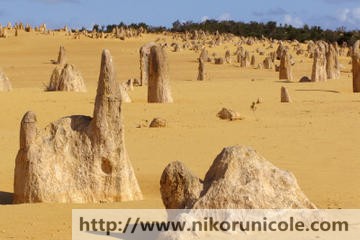 pinnacles-desert-koalas-and-sandboarding-4wd-day-tour-from-perth-in-perth-138439